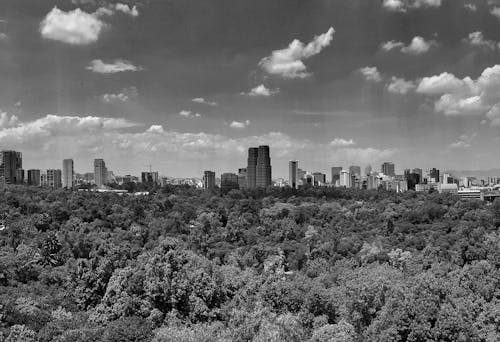 Foto stok gratis hitam & putih, kota, langit