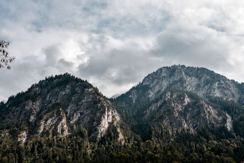 Majestic stony mountains covered with green trees near lush forest under cloudy sky