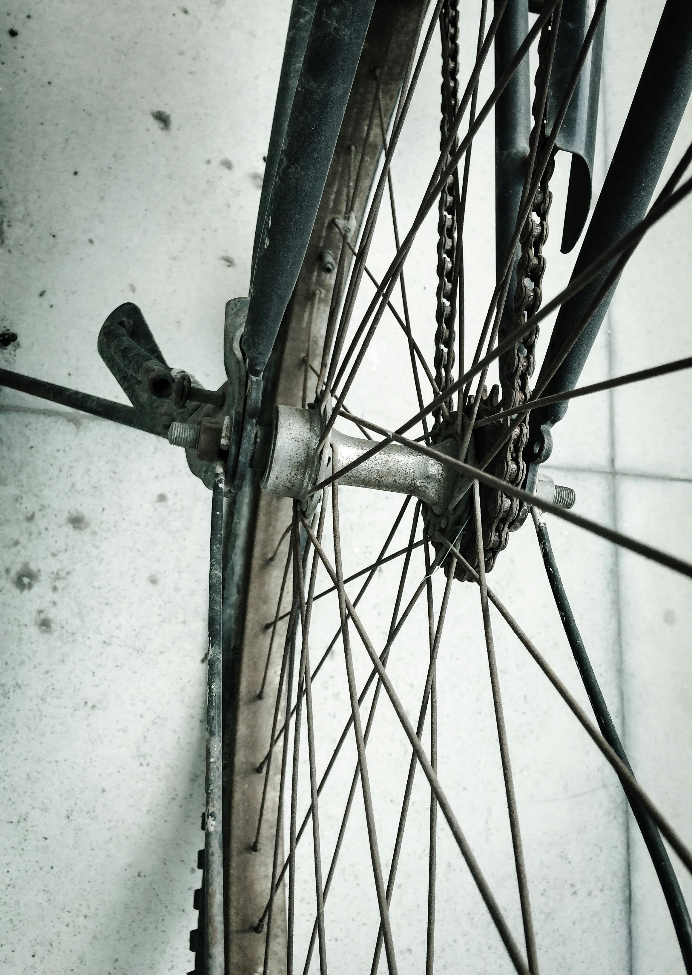 有关車輪, 輪, 輪子的免费素材图片