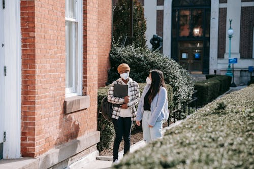 Free Young multiethnic women in casual outfit and backpacks with masks walking on pavement near buildings and green plants with computer in sunny day Stock Photo