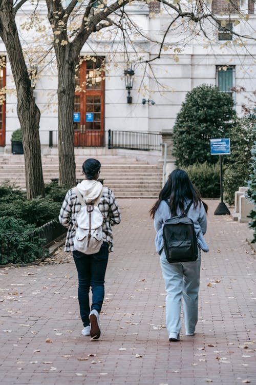 Full body back view of anonymous female students in casual outfit with backpacks walking along pavement in university campus