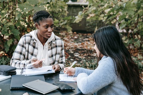 Multiethnic female students fulfilling homework together in park