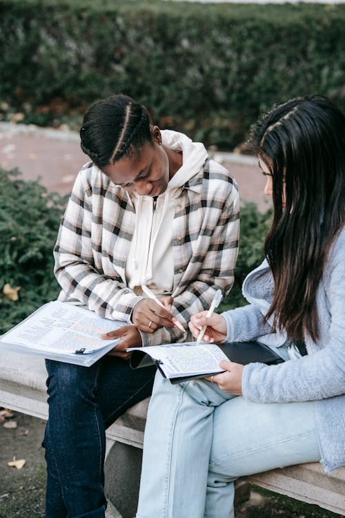 Concentrated diverse female students in casual outfits working on home  assignment together and sitting on bench in park