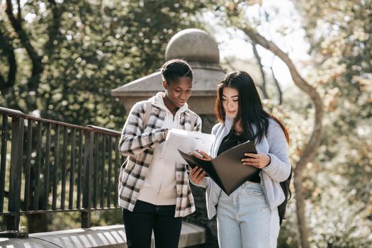 Young attentive multiracial girlfriends in casual wear talking while watching folders and studying in city on sunny day in back lit
