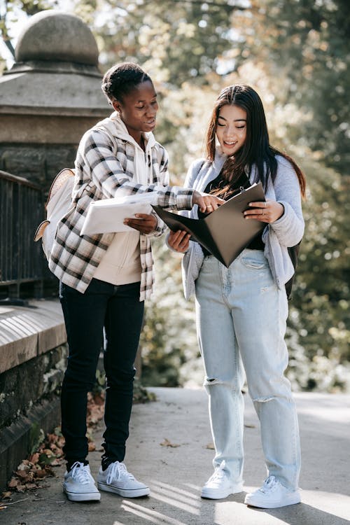 Black student explaining homework to Asian partner in town