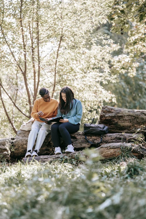 Full length focused young diverse female friends in casual wear reading article in folder and sitting together on dry tree trunk in sunny forest