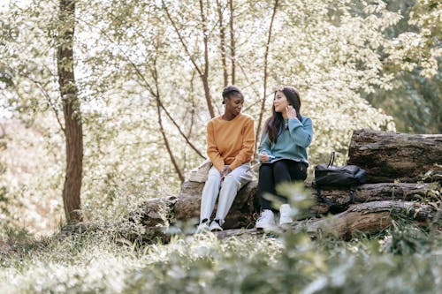 Full body content young multiethnic female students in casual sweaters sitting on tree trunk with paper folder and discussing project together in sunny park