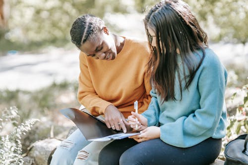 Free Content diverse female students wearing warm sweaters doing homework together while sitting on bench in sunny autumn park Stock Photo