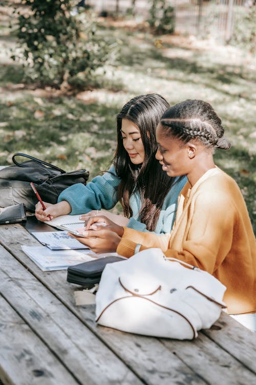 Cheerful multiethnic students doing homework together in park