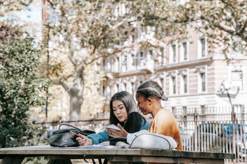 Diverse female students preparing for exams together in city park