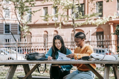 Diverse young women studying data on paper while preparing for exam at table on street