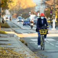 Commuter cycling a tree-lined avenue in autumn — photo by Rosivan Morais on Pexels
