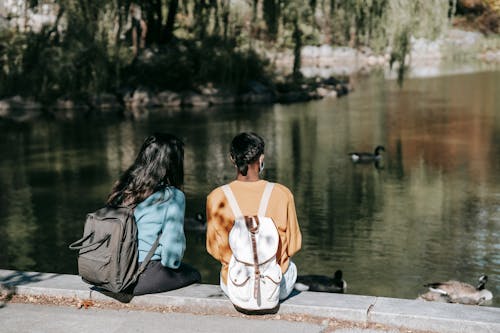 Back view of young female friends in casual wear and backpack sitting near calm lake with ducks in sunny day