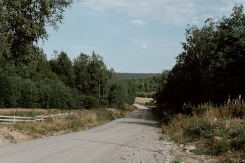 Безкоштовне стокове фото на тему «вказівки, ґрунтова дорога, дерева»