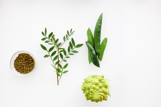 Flat lay of seeds, green vegetables, and leafy branch on a white background. Perfect for organic cooking concepts.