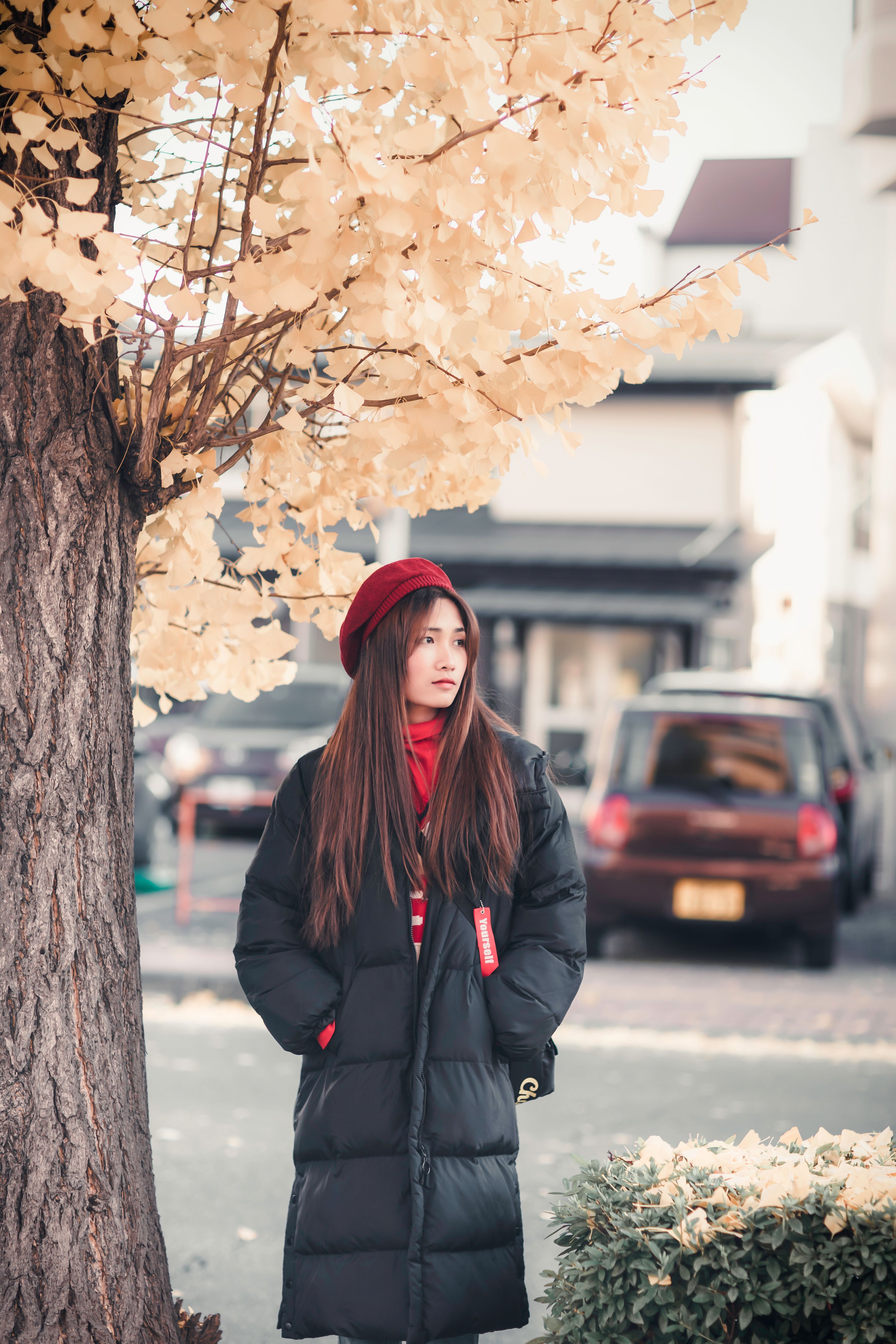 Woman in Black Coat Standing Beside Brown Tree · Free Stock Photo