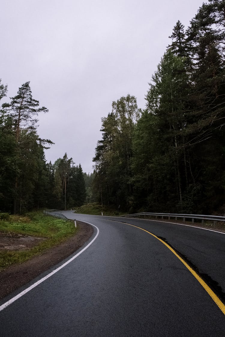 A Concrete Road Between Trees