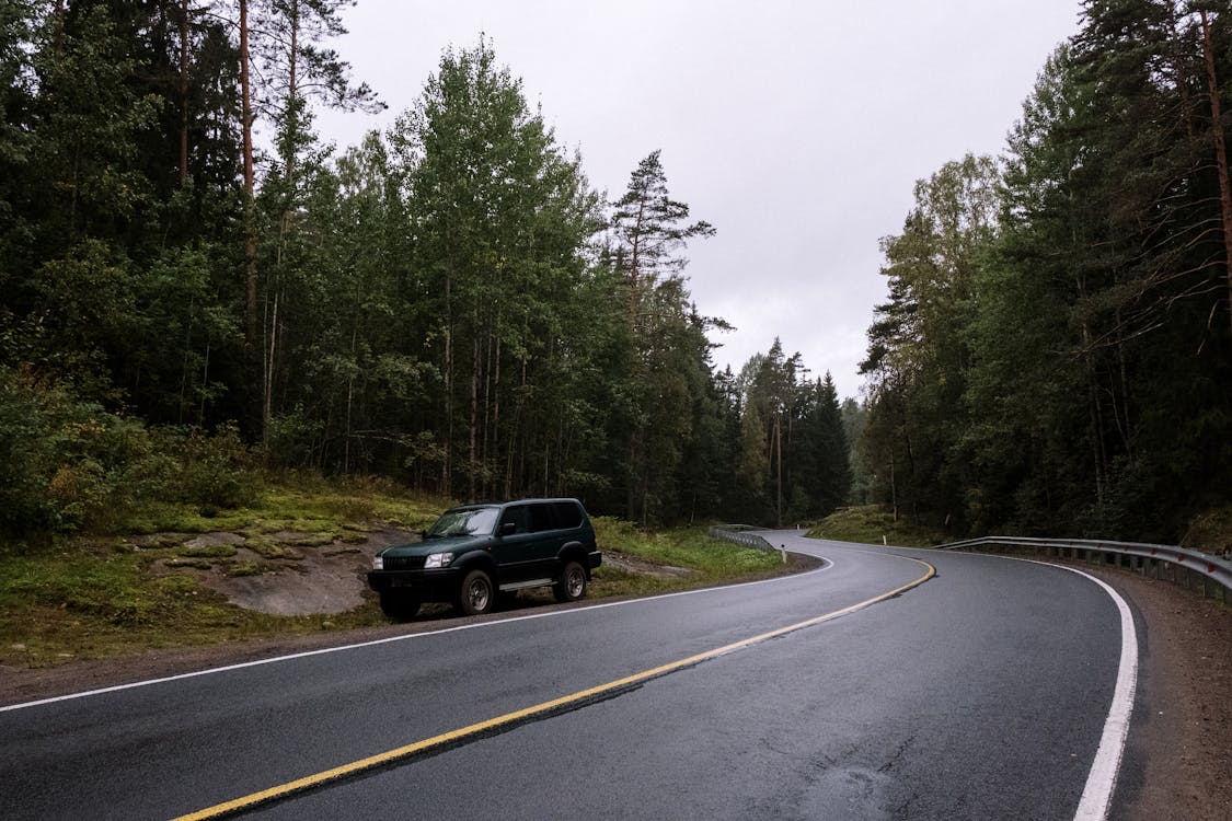 Black Suv on Roadside Between Green Trees