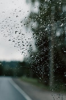 Raindrops on a window overlooking a blurred forest and road, creating a moody scene.