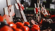 Symbolic crosses with red poppies in a cemetery signify remembrance and honor for fallen soldiers.