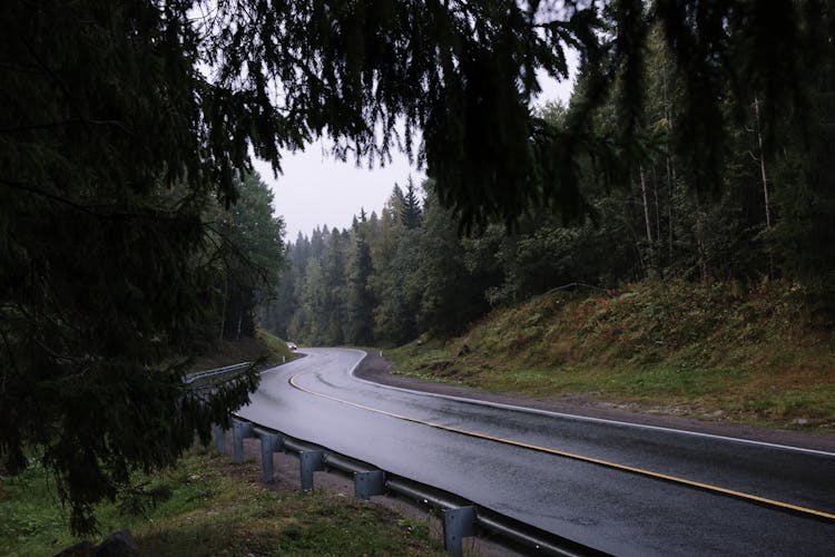 A Concrete Road Between Trees