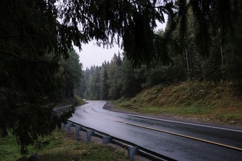 Free A tranquil, rain-soaked road winding through a dense forest, offering a serene and peaceful atmosphere. Stock Photo