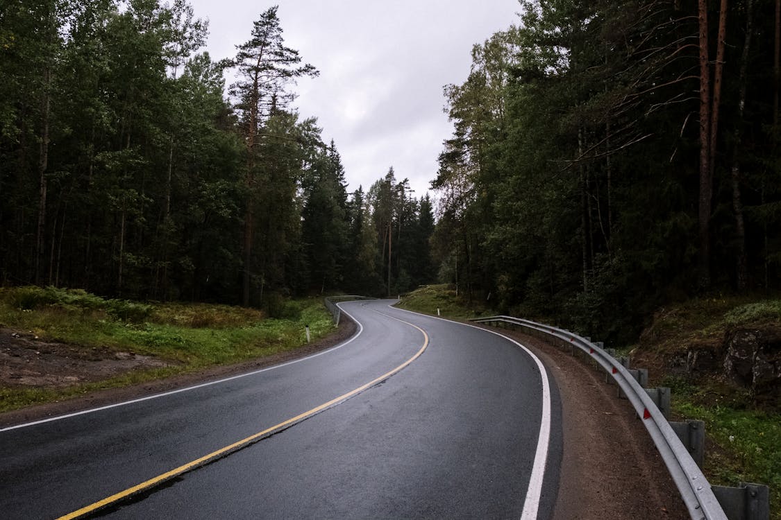 Empty Black Asphalt Road Between Green Trees 