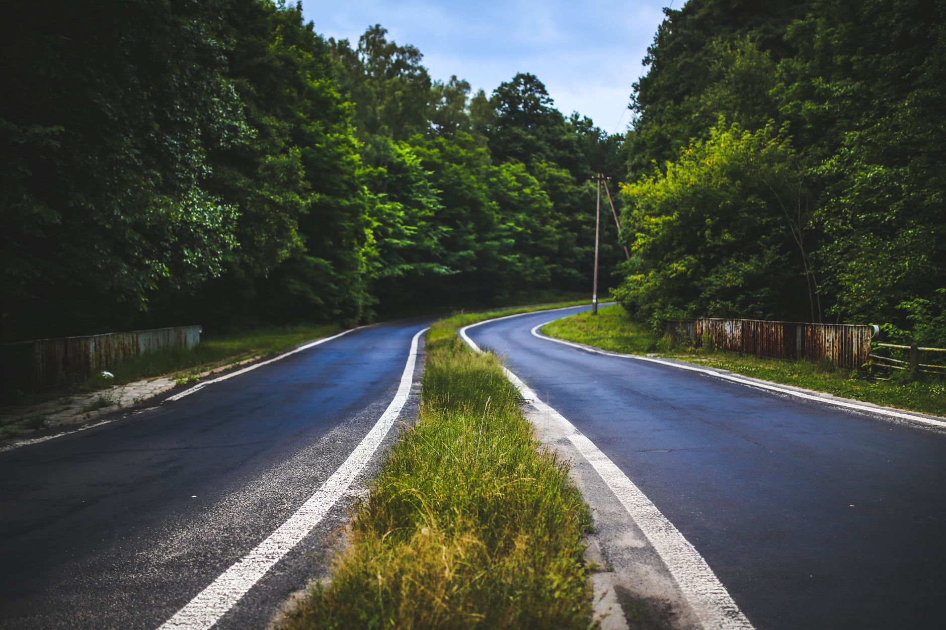 Scenic rural road winding through a dense green forest landscape, ideal for travel themes.