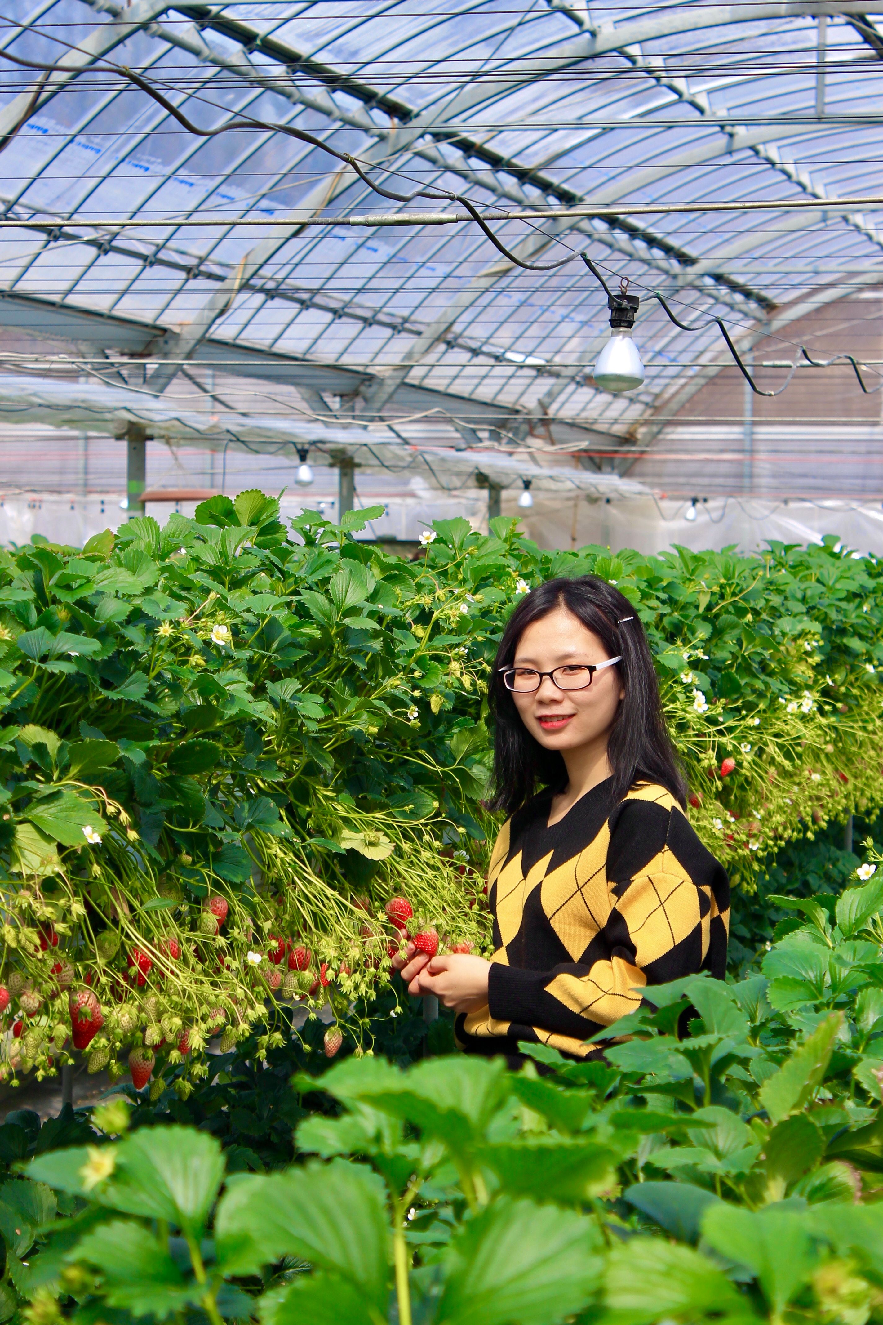 A Woman in a Greenhouse · Free Stock Photo