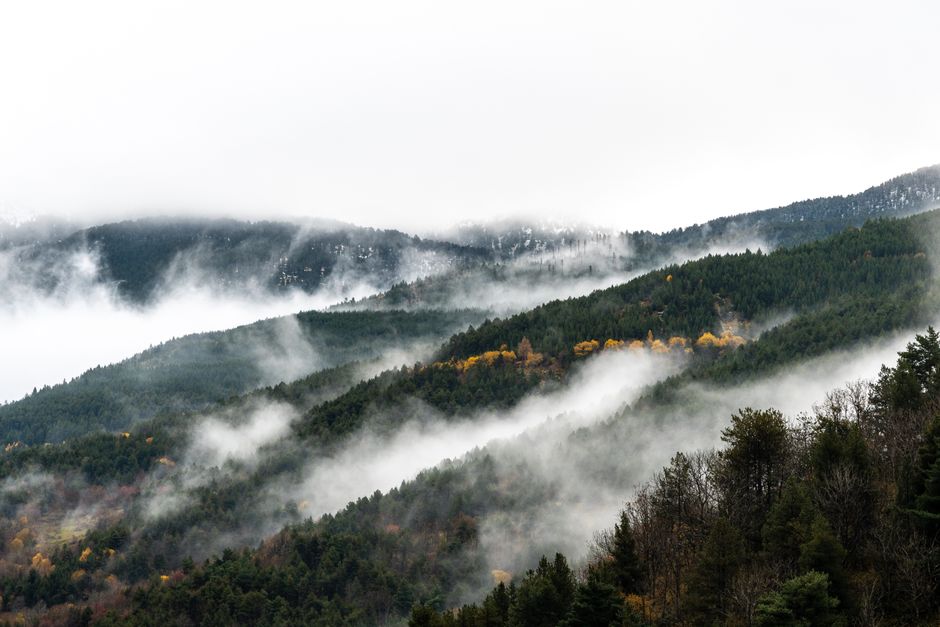 A scenic view of mist-covered forested mountains with autumn colors on a foggy day.