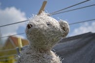 明亮的蓝天下，一只破旧的泰迪熊挂在晾衣绳上