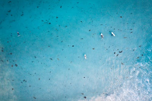 Aerial Photography of Surfers on the Sea
