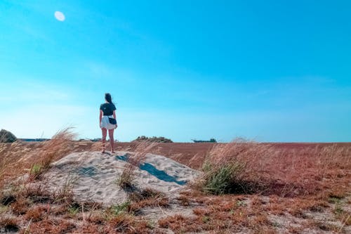 Woman Standing Beside Wheat Field