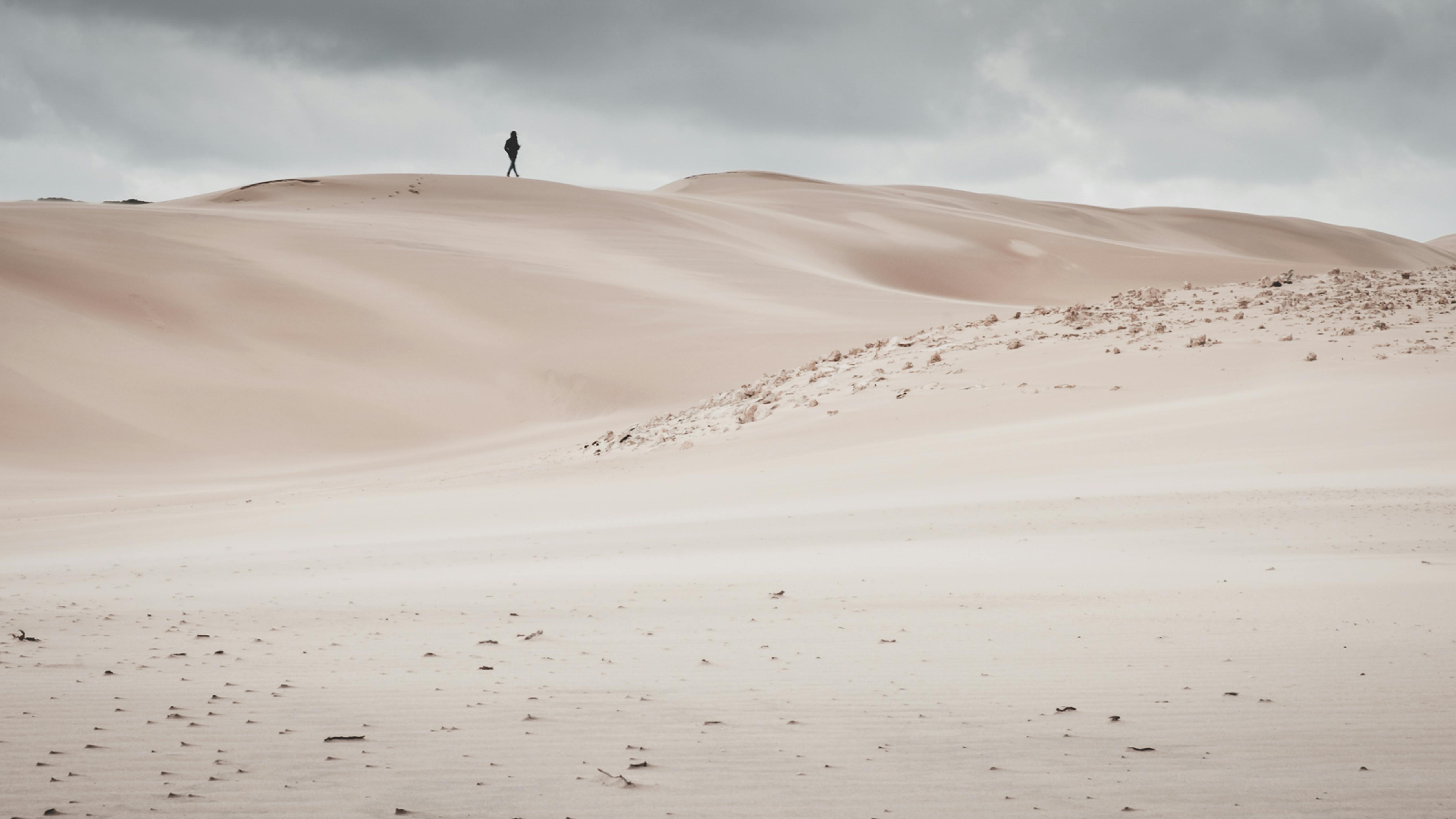 Crop barefooted person walking on sandy beach · Free Stock Photo