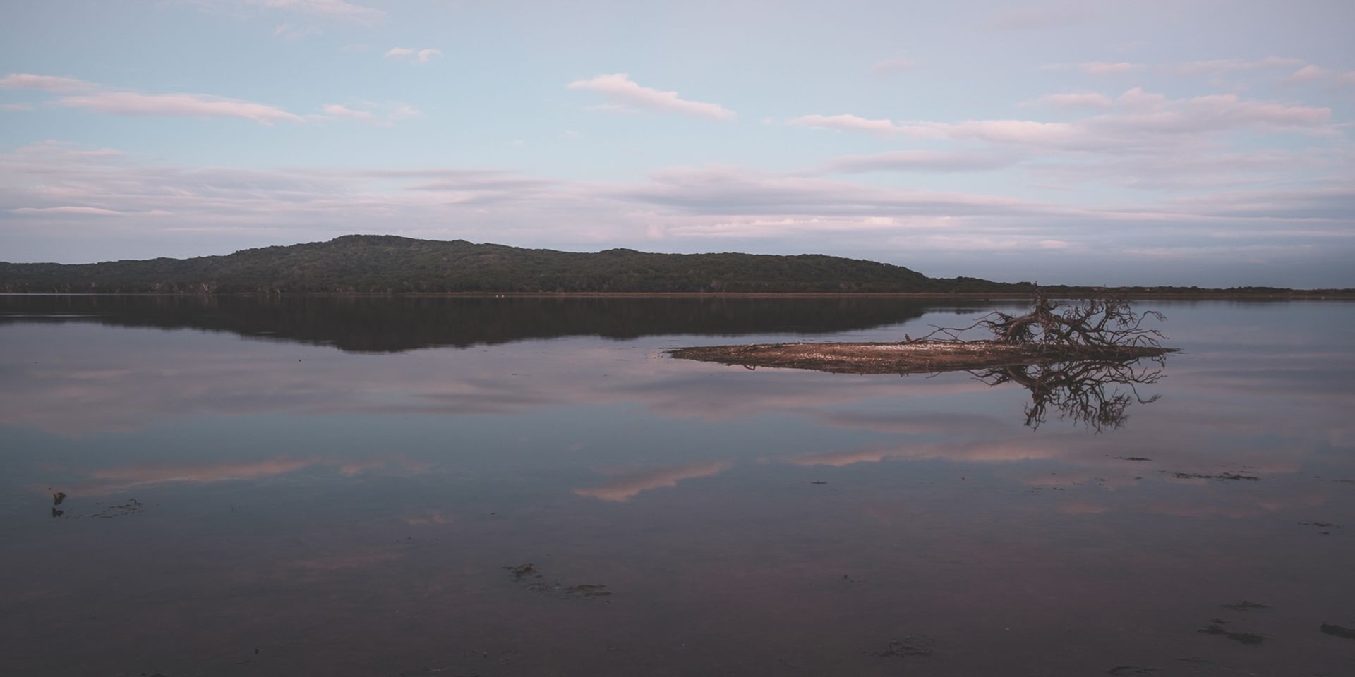 A peaceful lake scene with a lone island and gentle reflections under a cloudy sky.