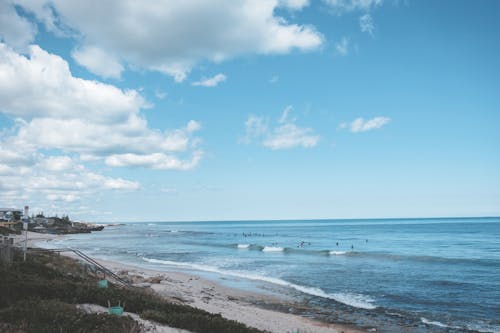 Empty sandy shore with vegetation and foamy ocean under blue sky with clouds