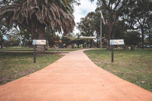 Empty walkway running through grassy vast meadow in exotic lush park with tent and benches in daylight