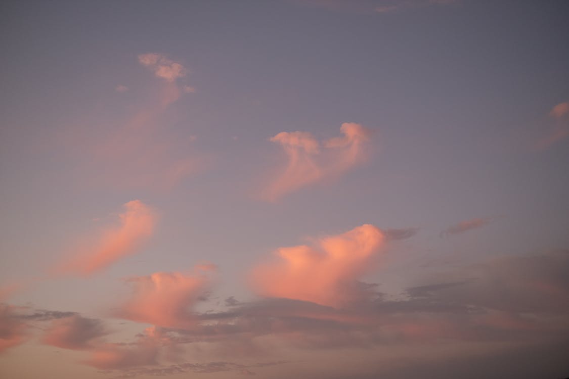 Picturesque sunset sky with pink clouds