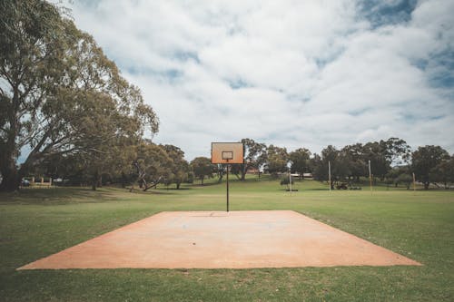 Empty basketball court with one hoop located on grassy lush lawn in spacious summer park on clear weather