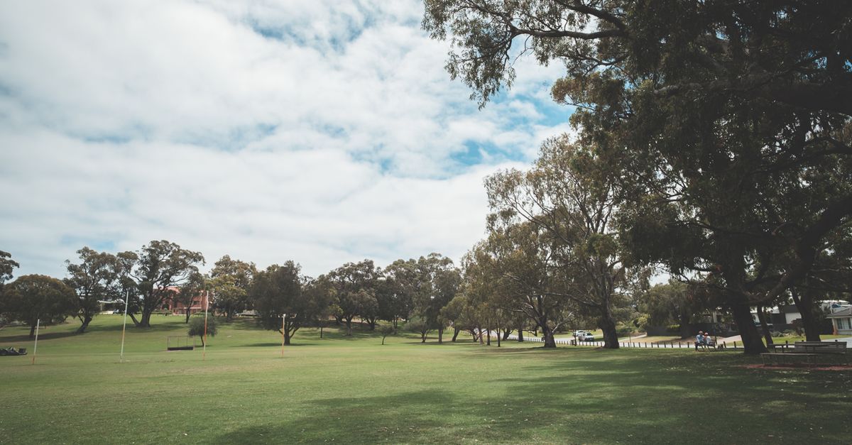 kings park