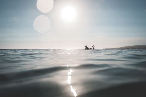 Free Silhouette of anonymous female surfer lying on surfboard while enjoying sunny day in sea at resort Stock Photo