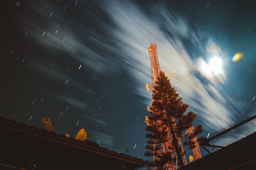 Foto d'estoc gratuïta de antena, arbre, arbre a la nit