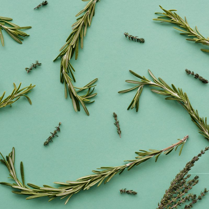 Thyme Rosemary Herb Blend