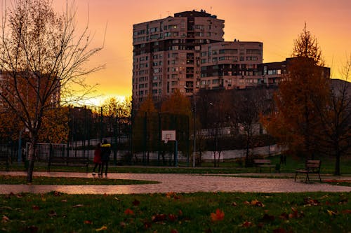 Безкоштовне стокове фото на тему «велике місто, Захід сонця, молода пара»