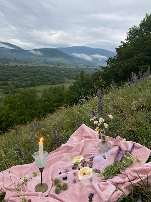 Free Pink covering with with candles and wildflowers placed on grassy slope of hill in nature with mountains in distance on summer Stock Photo