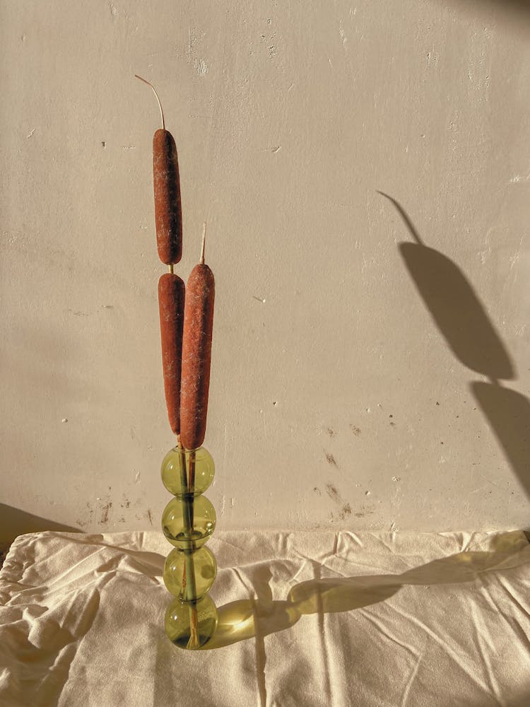 Reeds In Vase Near Shabby Wall