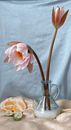 Composition of glass pitcher with delicate flowers with pink petals placed on blanket near sliced fruits against  gray textile
