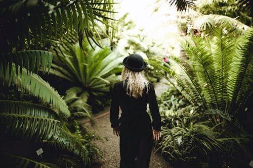 Standing Woman Wearing Black Long-sleeved Dress Beside Plants