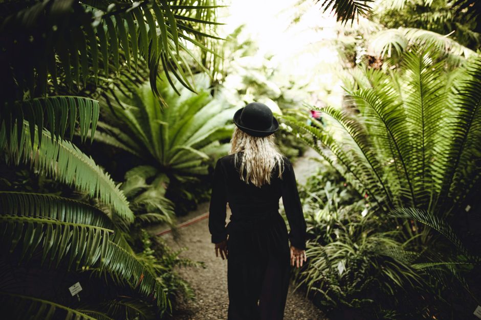 A woman walks along a lush, green path surrounded by tropical ferns and foliage.