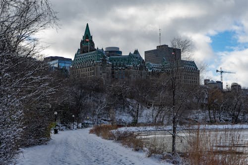 Snow Covered Pathway Near BareTrees and Buildings